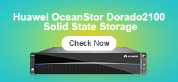 Huawei OceanStor Dorado2100 G2.