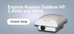 Ruckus Outdoor AP.
