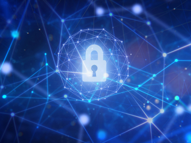 Juniper Security